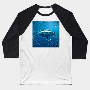 The Shark Tank Baseball T-Shirt